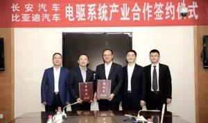 第一车网 新闻 二手车资讯 正